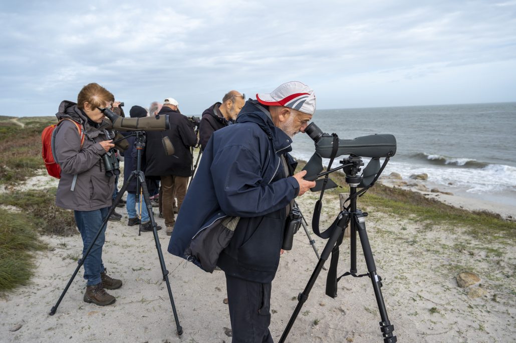 Comptages des oiseaux des bassins